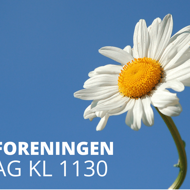 HJELPEFORENINGEN